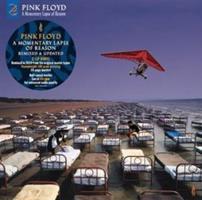 A Momentary Lapse Of Reason (Half Speed Master) - Pink Floyd