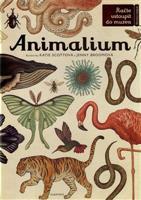 Animalium - Jenny Broomová