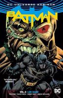 Batman 3: Já jsem zhouba - David Finch, Tom King