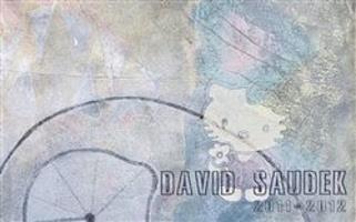 David Saudek 2011 - 2012