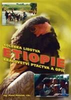 Etiopie - Pavel Poláček