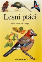 Lesní ptáci - Jan Dungel