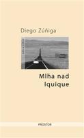 Mlha nad Iquique - Diego Zúniga