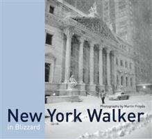 New York Walker - Martin Froyda