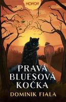 Pravá bluesová kočka - Dominik Fiala