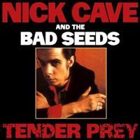 Tender Prey - The Bad Seeds, Nick Cave
