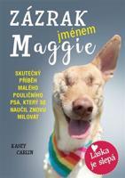 Zázrak jménem Maggie - Kasey Carlin
