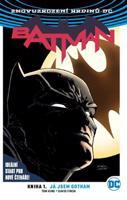 Batman 1: Já jsem Gotham - Tom King