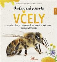 Jeden rok v životě včely - David Gerstmeier, Hannah Götteová, Tobias Miltenberger