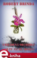 Ukradená orchidej - Robert Brinda