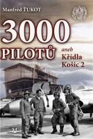 3 000 pilotů