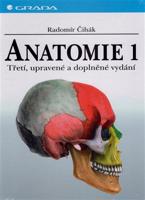 Anatomie 1