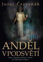 Anděl v podsvětí