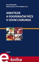 Anestezie a pooperační péče v cévní chirurgii - Petr Štádler, Pavel Michálek, Michael Stern