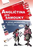Angličtina pro samouky a věčné začátečníky - Anglictina.com