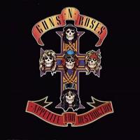 Appetite For Destruction