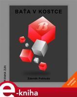 Baťa v kostce - Zdeněk Pokluda
