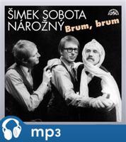 Brum, brum - Miloslav Šimek, Luděk Sobota
