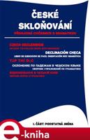 České skloňování. Podstatná jména - Vlaďka Dobešová