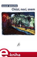 Chůzí, nocí, snem - Adam Brožík