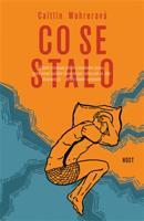 Co se stalo - Caitlin Wahrerová