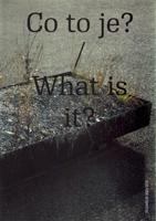 Co to je? / What is it. Designblok Book 2016