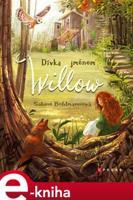 Dívka jménem Willow - Sabine Bohlmannová