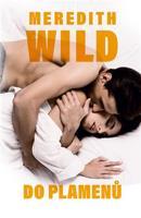 Do plamenů - Meredith Wild