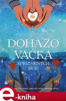Dohazovačka spřízněných duší - Lynda Cohen Loigman