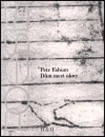 Dům mezi okny - Petr Fabian