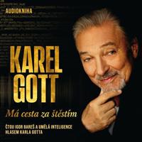 Gott: Má cesta za štěstím