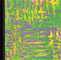 Grafika. Soupis grafické tvorby do roku 2011 - František Hodonský