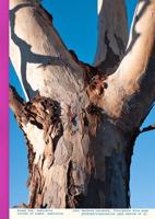 Hlasy žen: Austrálie