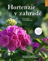 Hortenzie v zahradě - Martina Meidingerová