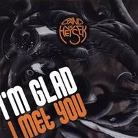 I'm Glad I Met You - Band of Heysek