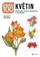Jak nakreslit 100 květin - kolektiv