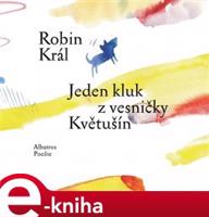 Jeden kluk z vesničky Květušín - Robin Král