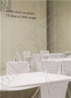 Ještě chvíli se zdržím/ I´ll Stay a Little Longer. Ještě chvíli se zdržím - Milena Dopitová