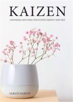Kaizen – Japonská metoda postupné změny návyků
