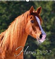 Kalendář 2022 nástěnný malý Horses