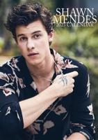 Kalendář Shawn Mendes 2023 (29,7 x 42 cm)