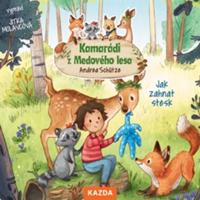 Kamarádi z Medového lesa 1 - Jak zahnat stesk