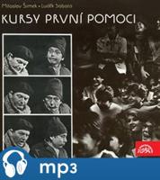 Kursy první pomoci - Miloslav Šimek, Luděk Sobota