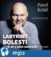 Labyrint bolesti, mp3 - Pavel Kolář