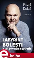 Labyrint bolesti - Pavel Kolář