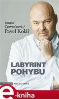 Labyrint pohybu - Renata Červenková, Pavel Kolář