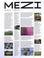 Mezi - Rostislav Koryčánek, Miloslav Fekar