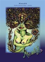 Mimoděk - Monika Prauchová Wahyu