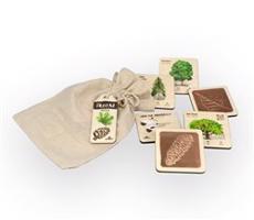 Mini frotáž dřeviny