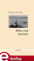 Mlha nad Iquique - Diego Zúniga